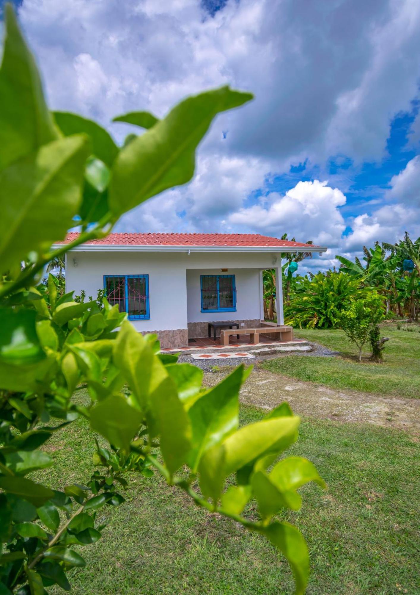 Finca Hotel El Ocaso Quimbaya Ngoại thất bức ảnh
